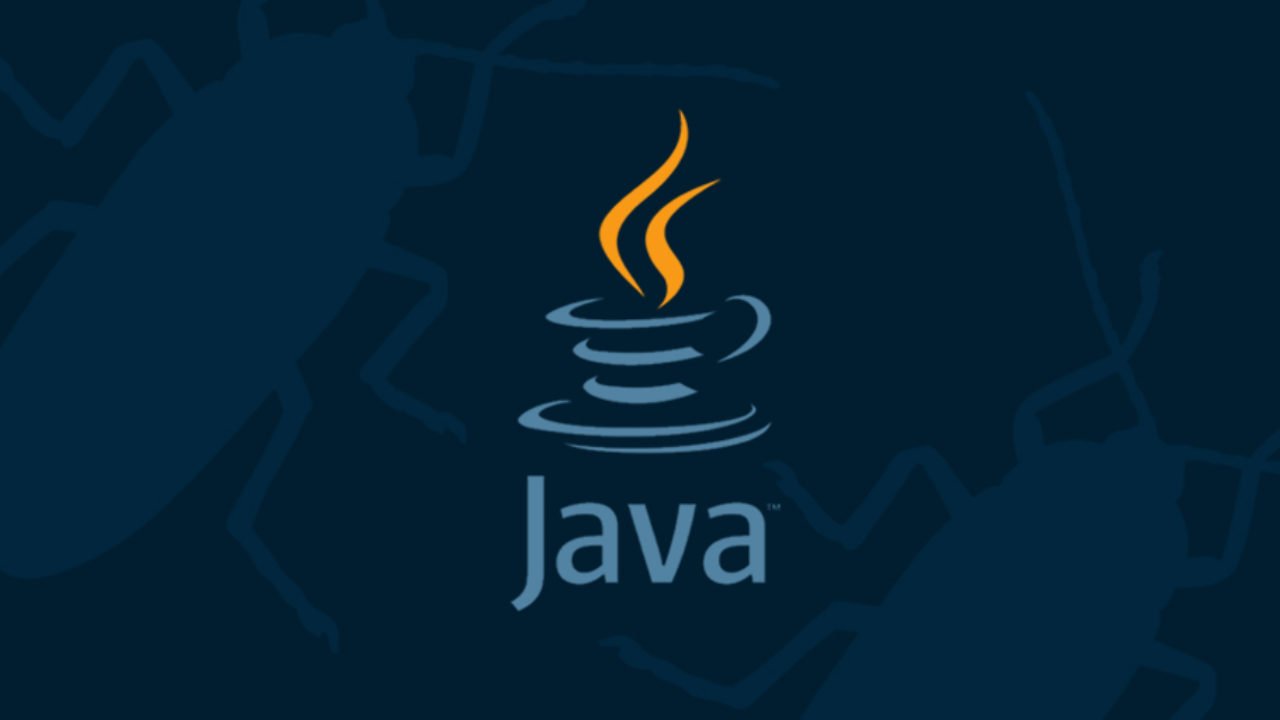 Java Programming and Dynamic Webpage  Design
